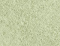 Parenthèse Vert tendre
