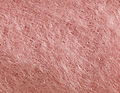 Tabriz Bois De Rose