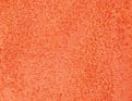 Petit Pan mixte Corail